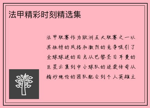 法甲精彩时刻精选集